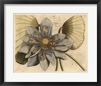 Blue Lotus Flower I Framed Print