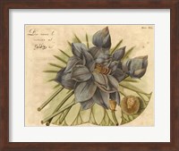 Framed Blue Lotus Flower II