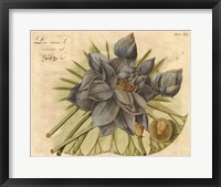 Blue Lotus Flower II Framed Print