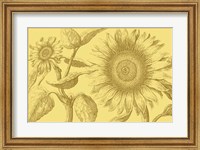 Framed Golden Sunflowers I