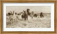 Framed Horses Bathing