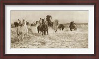 Framed Horses Bathing