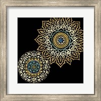 Framed Midnight Rosette I