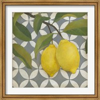 Framed Fruit and Pattern I