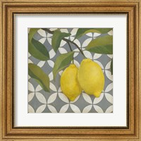 Framed Fruit and Pattern I