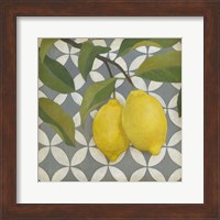 Framed Fruit and Pattern I