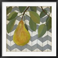 Framed Fruit and Pattern II