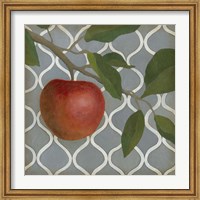 Framed Fruit and Pattern III