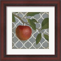 Framed Fruit and Pattern III