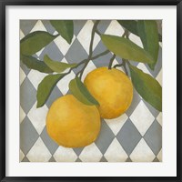 Framed Fruit and Pattern IV