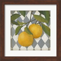 Framed Fruit and Pattern IV