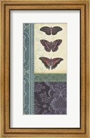 Framed Butterfly Brocade I