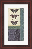 Framed Butterfly Brocade II