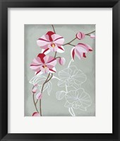 Floral Echo I Framed Print