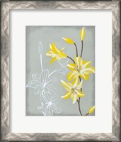 Framed Floral Echo II