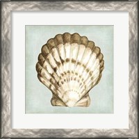 Framed Sea Dream Shells III