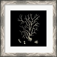 Framed Small Black & Tan Coral I