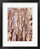 Butterfly Tree II Framed Print