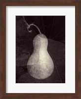 Framed Gourd I