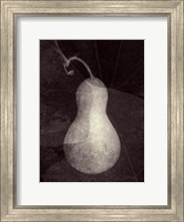 Framed Gourd I