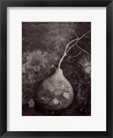 Framed Gourd IV