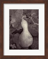 Framed Gourd V