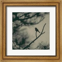 Framed Caligraphy Bird I