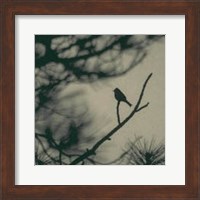 Framed Caligraphy Bird I