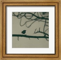 Framed Caligraphy Bird II