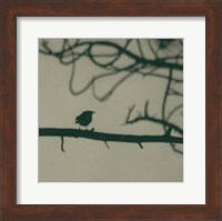 Framed Caligraphy Bird II