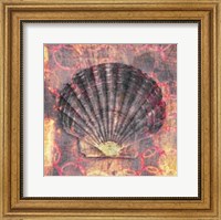 Framed Seashell-Scallop