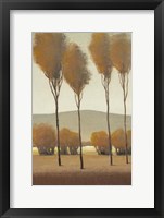 Tall Birches I Framed Print