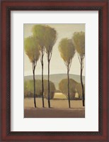 Framed Tall Birches II