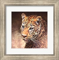 Framed Leopard