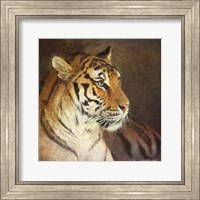 Framed Tiger