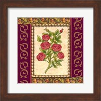 Framed Victorian Floral IV