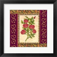 Framed Victorian Floral IV