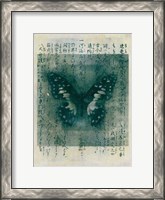 Framed Butterfly Calligraphy I
