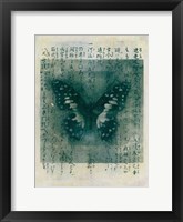 Butterfly Calligraphy I Framed Print