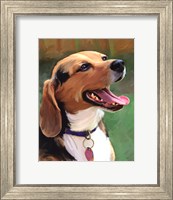 Framed Beagle-Beagle