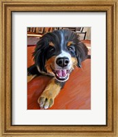 Framed Bernese Puppy