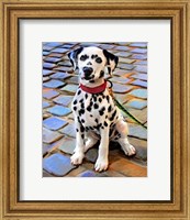 Framed Dalmatian Puppy