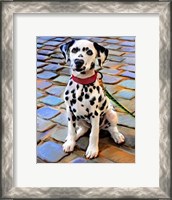 Framed Dalmatian Puppy