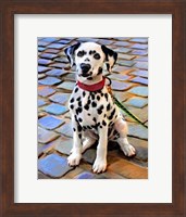 Framed Dalmatian Puppy