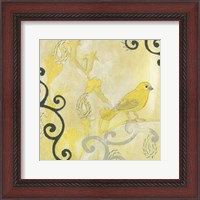Framed Canary I