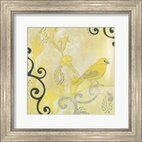 Framed Canary I
