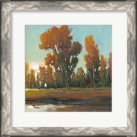 Framed Late Afternoon Fall
