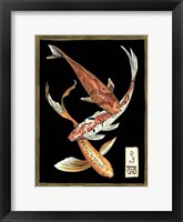 Koi Fish on Black II Framed Print