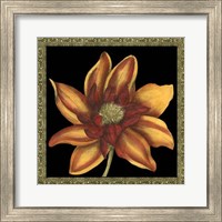 Framed Patterned Flowers I