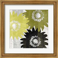 Framed Bloomer Squares I